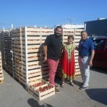 Νέα διανομή φρούτων από τον Δήμο Χαλκιδέων