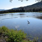 Υποβολή αιτήσεων αποζημίωσης από όσους επλήγησαν από τα πλημμυρικά φαινόμενα στη Δημοτική Ενότητα Χαλκίδας