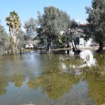 Σε κατάσταση έκτακτης ανάγκης κηρύχθηκε η Δημοτική Ενότητα Χαλκίδας