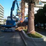 Κλάδεμα και καθαρισμός δέντρων στο κέντρο της Χαλκίδας