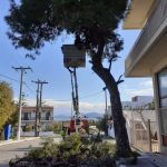 Συντονισμένες παρεμβάσεις καθαριότητας στη Δ.Ε. Ανθηδόνας
