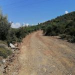 Διάνοιξη αγροτικών και δασικών οδών στα Φύλλα