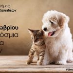 Ο Δήμος Χαλκιδέων για την Παγκόσμια Ημέρα Ζώων