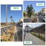 🔔Ενημέρωση του Δήμου Χαλκιδέων, σχετικά με τα δέντρα της Λεωφόρου Ελ. Βενιζέλου και των οδών 28ης Οκτωβρίου και Αρεθούσης