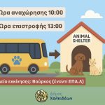 Δωρεάν μεταφορά από τον Δήμο Χαλκιδέων για την Ημέρα Υιοθεσίας🚌