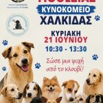 🐶🐱Ημέρα Υιοθεσίας στη Χαλκίδα, από τον Δήμο Χαλκιδέων και τον Ζωόφιλο Σύλλογο Χαλκίδας