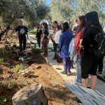 🍄‍🟫Στο Πάρκο Μανιταριών Δίρφυς τα Κ.Δ.Α.Π. ΜεΑ του Δήμου Χαλκιδέων
